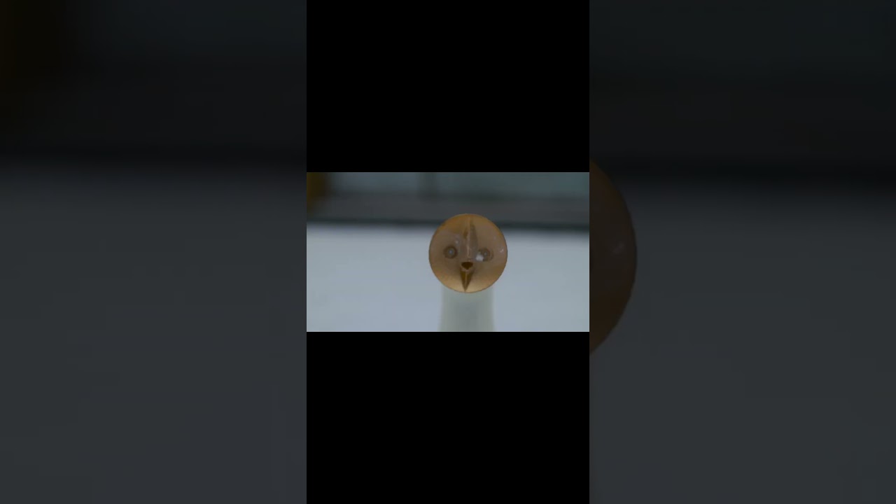 ショート版  VS OKAMOTO　その２  #シンカリオン #シンカリオンZ#シンカリオンチェンジザワールド#新幹線＃E5ハヤブサ#E5はやぶさ#カモメ#太陽の塔