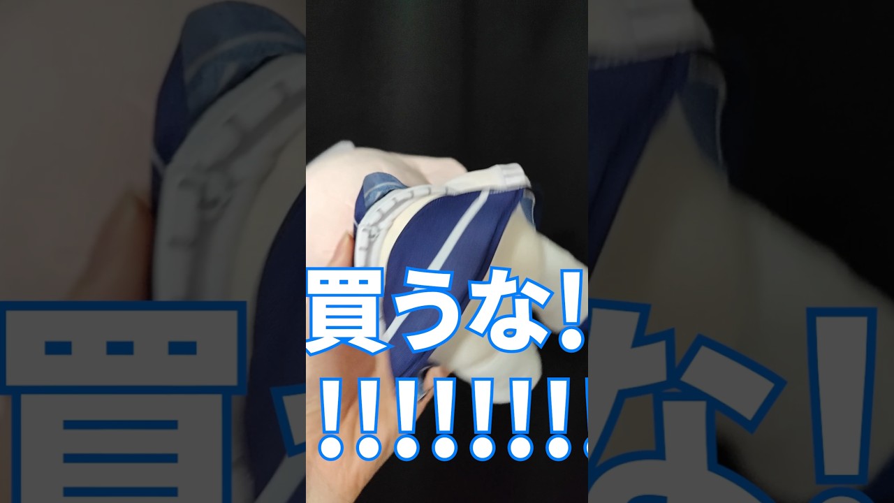 偽ナツぬいと本物ナツぬいとスポンサー #ブルアカ #ブルーアーカイブ