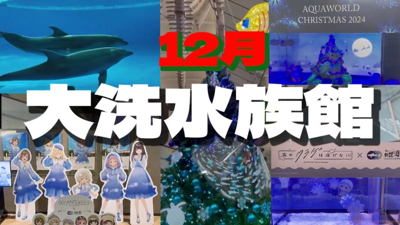 【大洗水族館】12月 #クリスマス #夜のクラゲは泳げない #イルカ