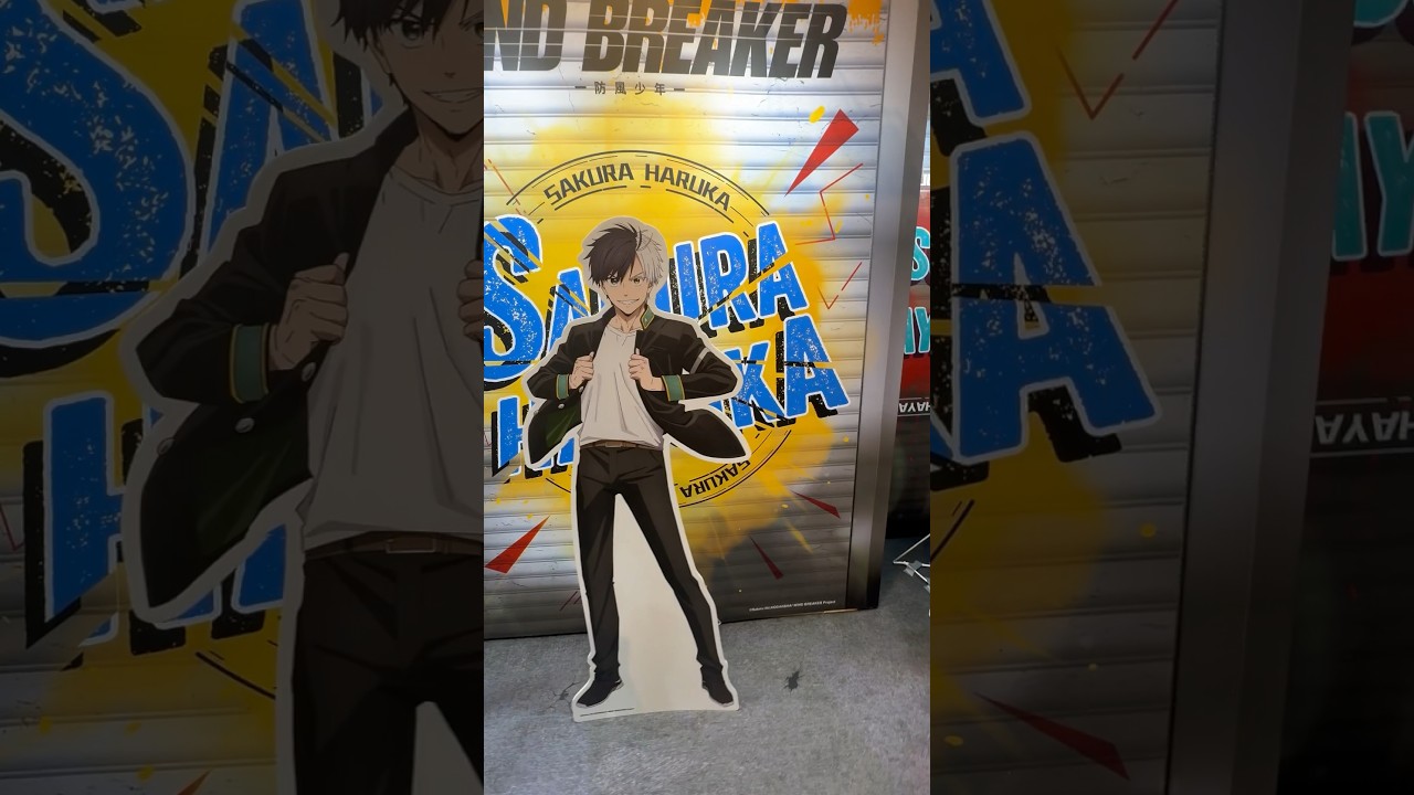WIND BREAKER#WIND BREAKER#anime #防風少年 #2024