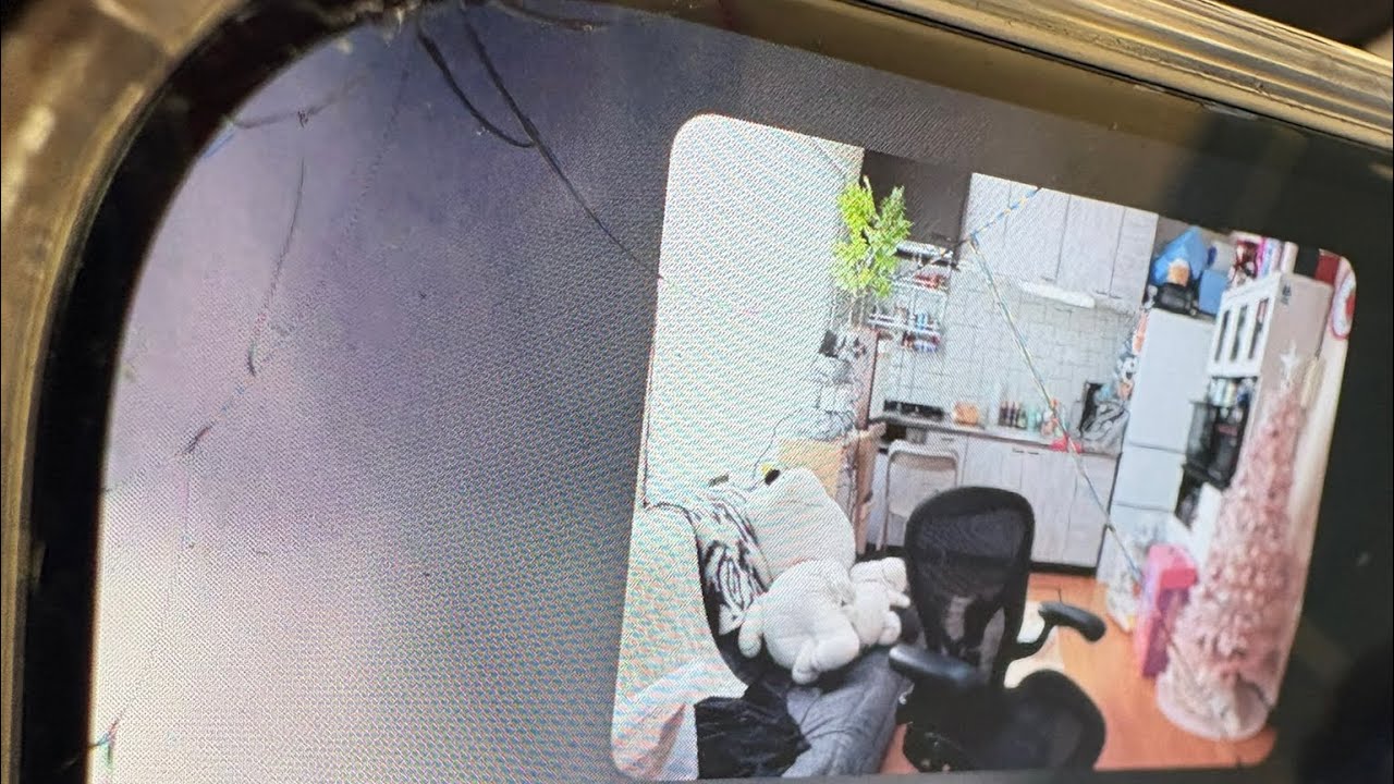 白髪染めさせてください