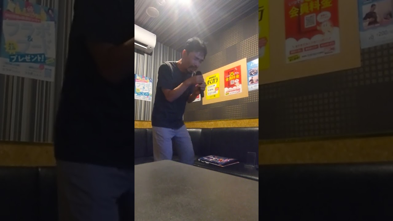 なぜ僕の世界を誰も覚えていないのか?(忘れられた本の墓場)  メランコリア