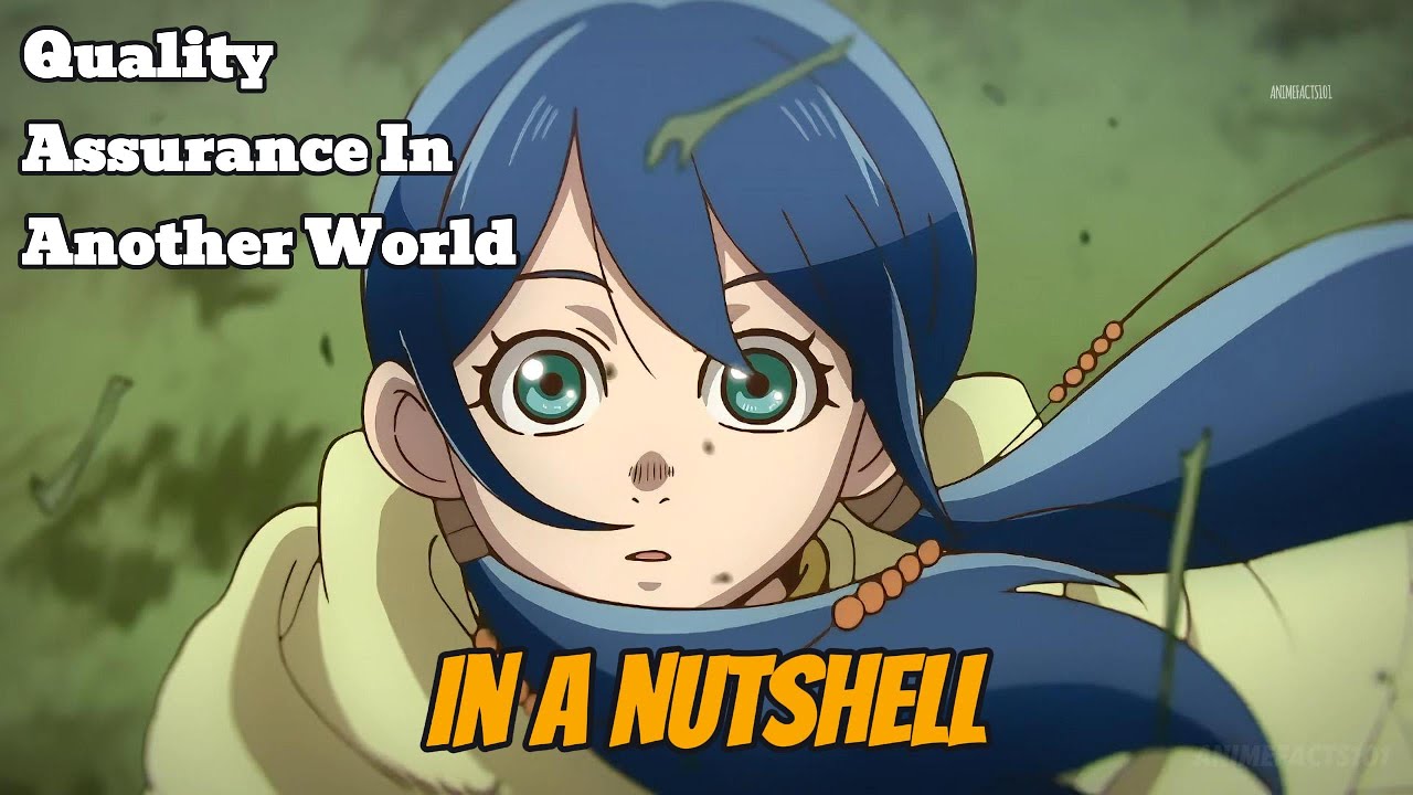 Quality Assurance In Another World In A Nutshell