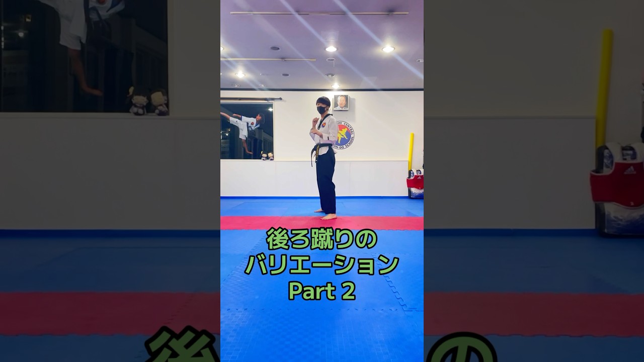 テコンドーの後ろ蹴り5選 パート2！まだまだいろいろな蹴り方がります。 #テコンドー #後ろ蹴り #喧嘩独学 #taekwondo #태권도 #싸움독학
