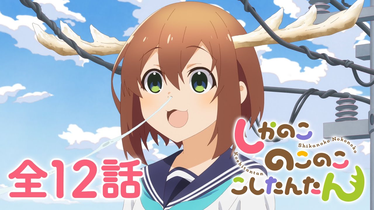 【全12話】しかのこのこのここしたんたん 2024年12月30日(月)まで 全12話 期間限定イッキ見！【公式アニメ全話】【最終話】#しかのこ