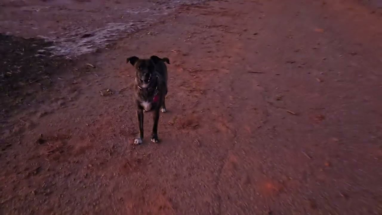 First day through the new gate