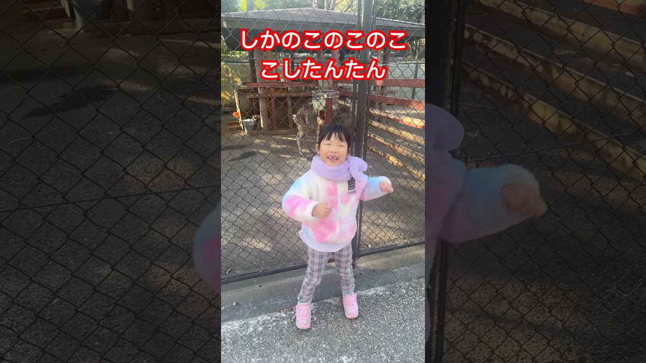 しかのこのこのここしたんたん　#しかのこのこのここしたんたん  #踊ってみた　#ダンス　#動物園