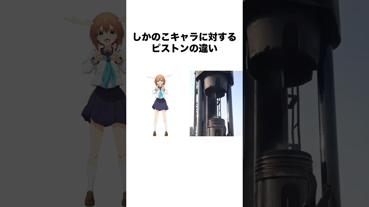 しかのこのこのここしたんたんキャラに対するピストンの違い #しかのこのこのここしたんたん #しかのこ #アニメ #shorts