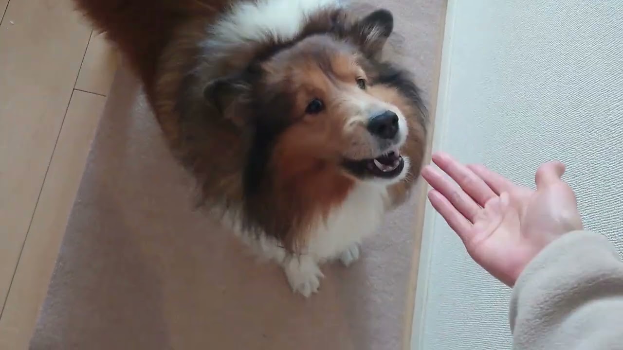 ただいま　おかえり　I missed you.