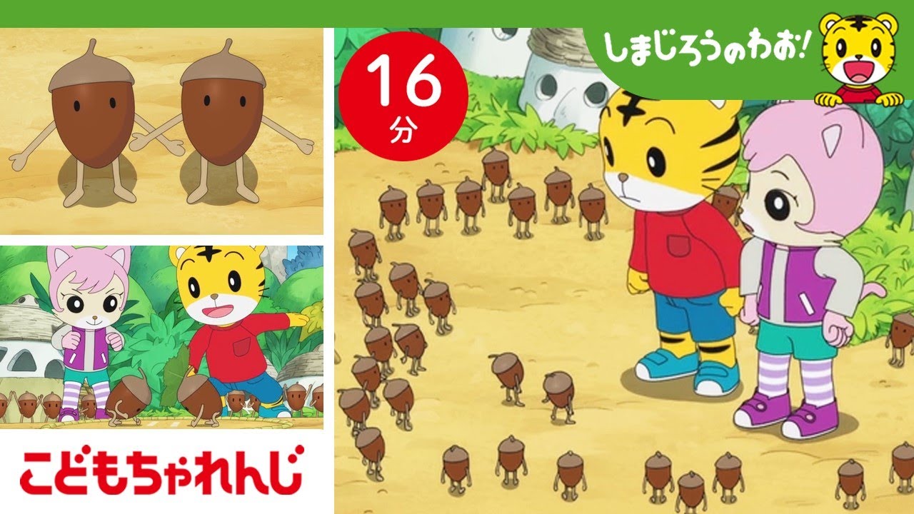 【16分アニメ】森のなかで、どんぐりたちが住む村を見つけたよ！ | しまじろうのわお！アニメ | しまじろうチャンネル公式