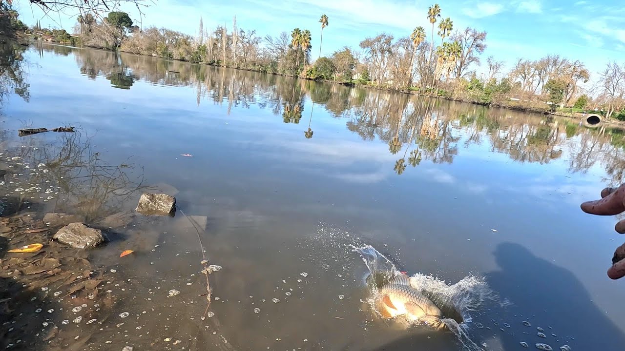 THEY'RE MONSTER FISH HERE! OMG One's ON MY LINE!!