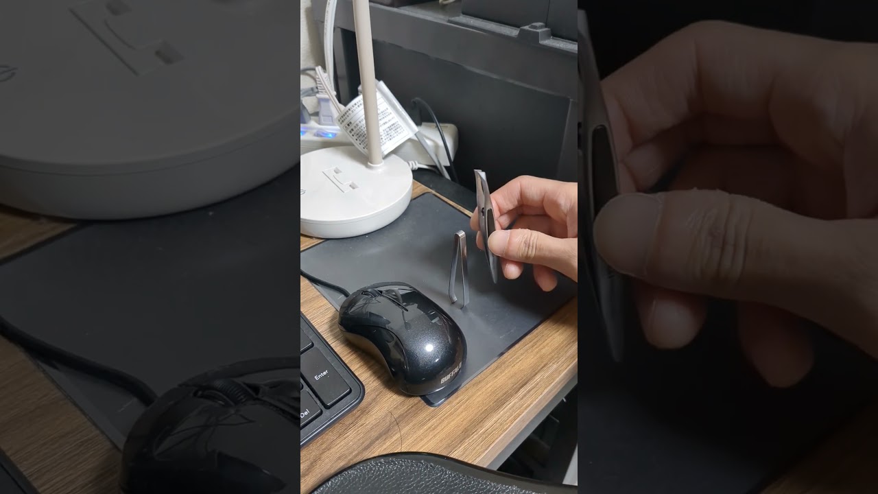 ピンセット達の　#しかのこのこのここしたんたん #shorts　#シカ色デイズ