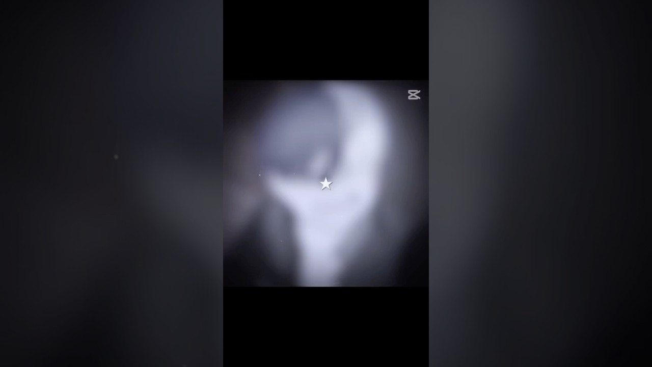 ウィンドブレイカーとファントムバスターズは1度でいいから見て🥺#windbreaker     #ウィンドブレーカー     #ファントムバスターズ      #テンプレ使用    #shorts