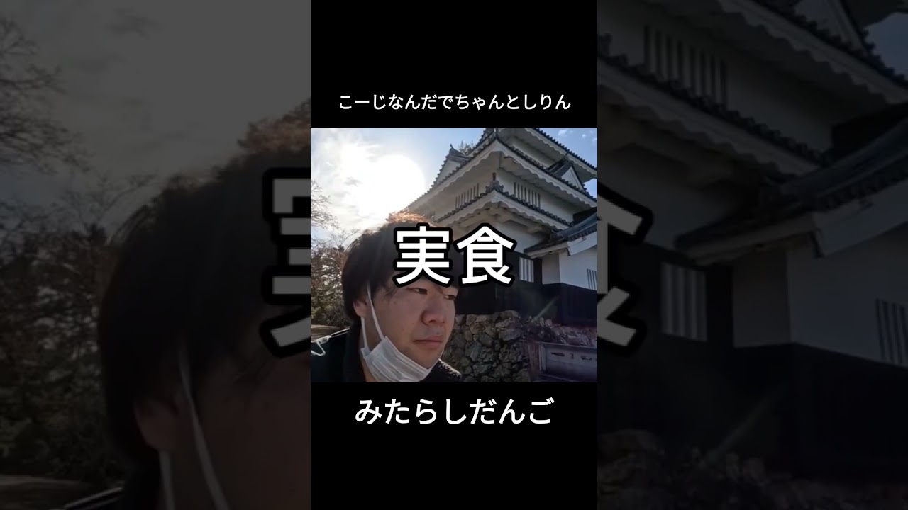 だんご#こーじ今日何食べる#豊橋#大正軒だんご#明治#和菓子好き#ご飯#グルメ#食べ歩き#食事#城#トヨッキー#負けヒロインが多すぎる#窪田正孝#エール#連続テレビ小説#二階堂ふみ#山本彩#もっと豊橋