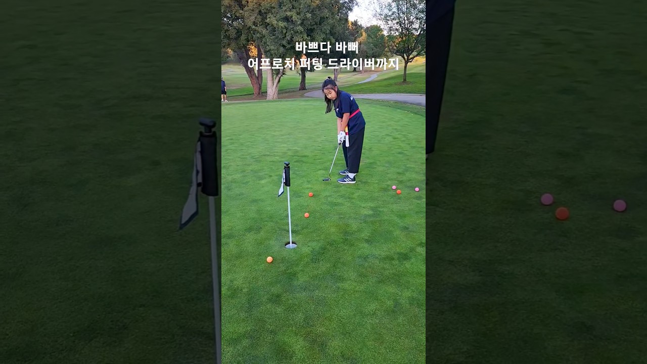 매일하는 골프 연습 어프로치 퍼팅 드라이버까지 165일차 DAY165 1월16일