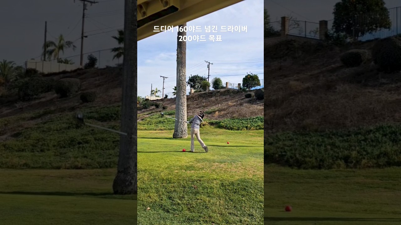 드디어 필드에서 160야드 넘긴 드라이버 스윙 올해안에 200야드 목표 171일차 DAY171 1월22일