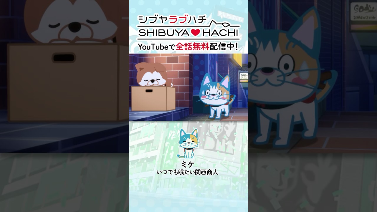 アニメ『SHIBUYA♡HACHI』第20話「ミケはまだかな」#shorts #ラブハチ #lovehachi #shibuyahachi