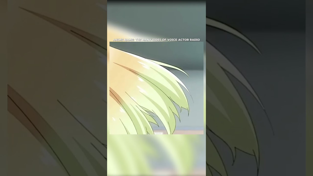 The Many Sides Of Voice Actor Radio📻~ANIME RECOMMENDATION #animeshorts