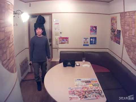 水樹奈々／ADRENALIZED【うたスキ動画】