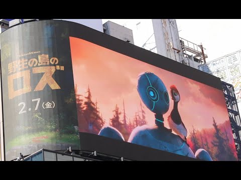 映画 野生の島のロズ niziu always reaction 大森元貴 ミセスライブ niziu reaction ニジュー 主題歌 니쥬 아야카 the wild robot trailer