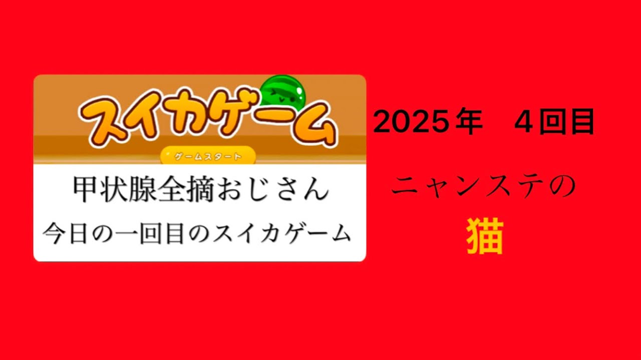 甲状腺全摘おじさん今日の一回目のスイカゲーム　2025年 4回目　ニャンステの　猫