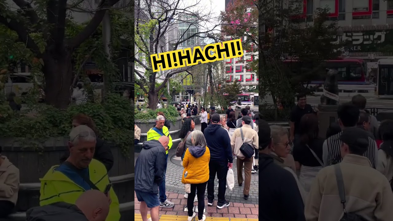 HI!HACHI! 【ハチ公の行列】 #shorts #hachiko #shibuya