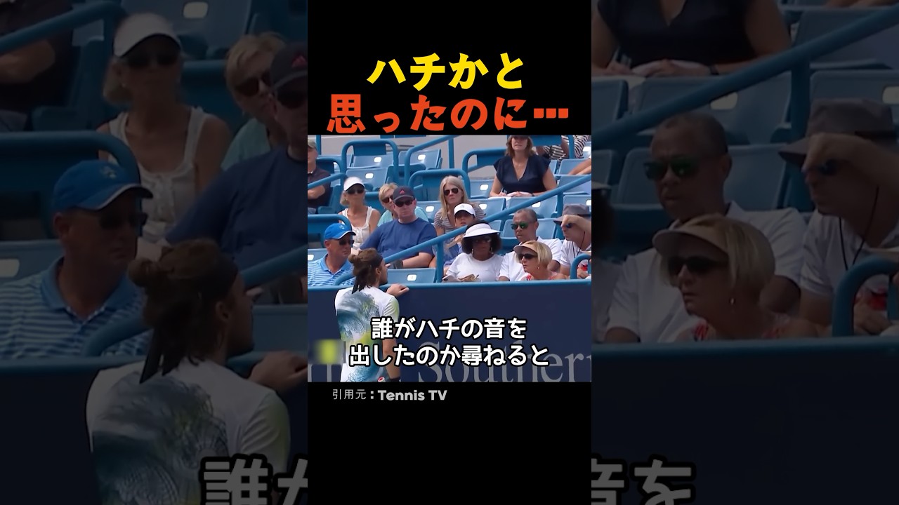 試合を妨害するハチの音の正体