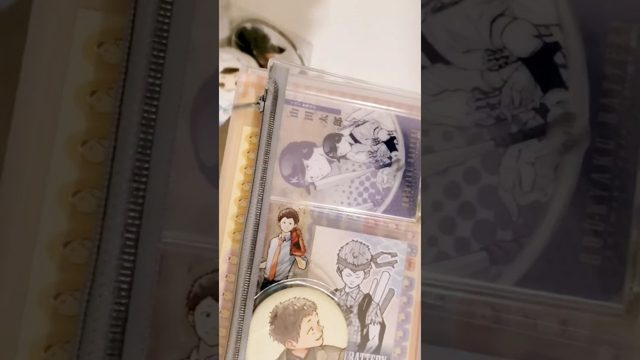 【オタクのお出かけVlog】半額セールで文具やちいかわ爆買い！お出かけしながら、ぬい活しました！痛手帳も作ったよ🤣 #忘バ  #忘却バッテリー #Seria #DAISO #推し活 #手帳　#ちいかわ