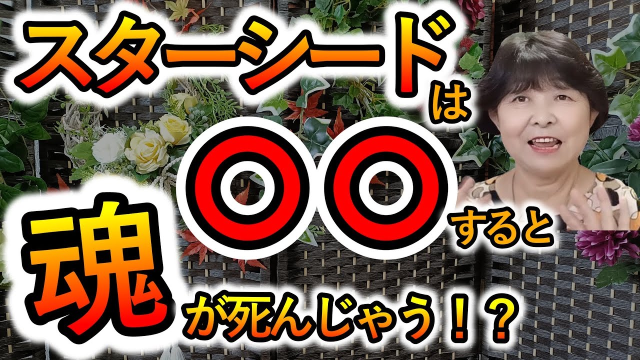 【スピリチュアルカウンセラーまゆみさん】スターシードは〇〇すると魂が死ぬ？／神社へ願掛けはダメ？／まゆみさんが見た精霊／スターシードが増えてきている件
