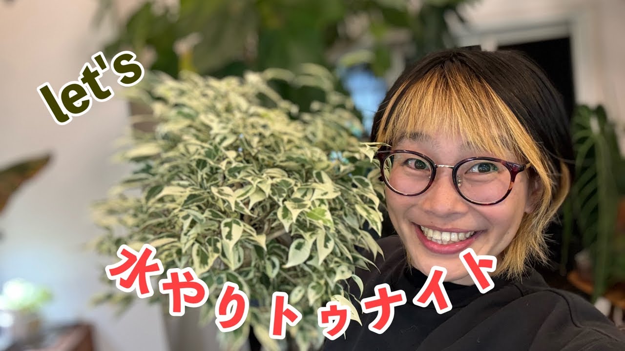 花森の水やりand雑談 LIVE✨コメント質問お待ちしてます🙂‍↕️💕