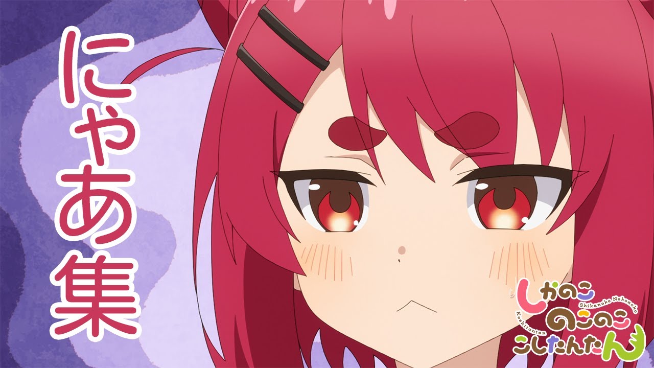 TVアニメ『しかのこのこのここしたんたん』にゃあ集