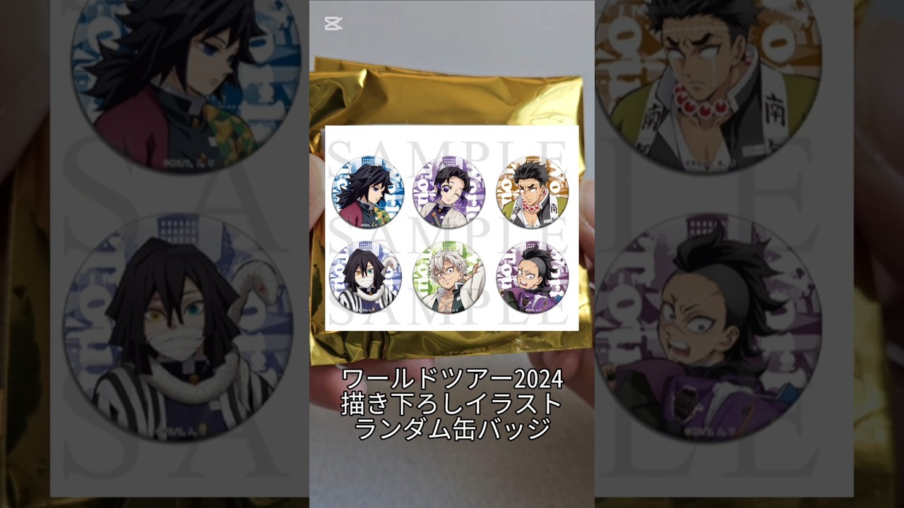 #鬼滅の刃 #ワールドツアー #demonslayer #柱稽古編 #無限城編 #柱 #hashira #鬼滅の刃グッズ開封 @otami1224