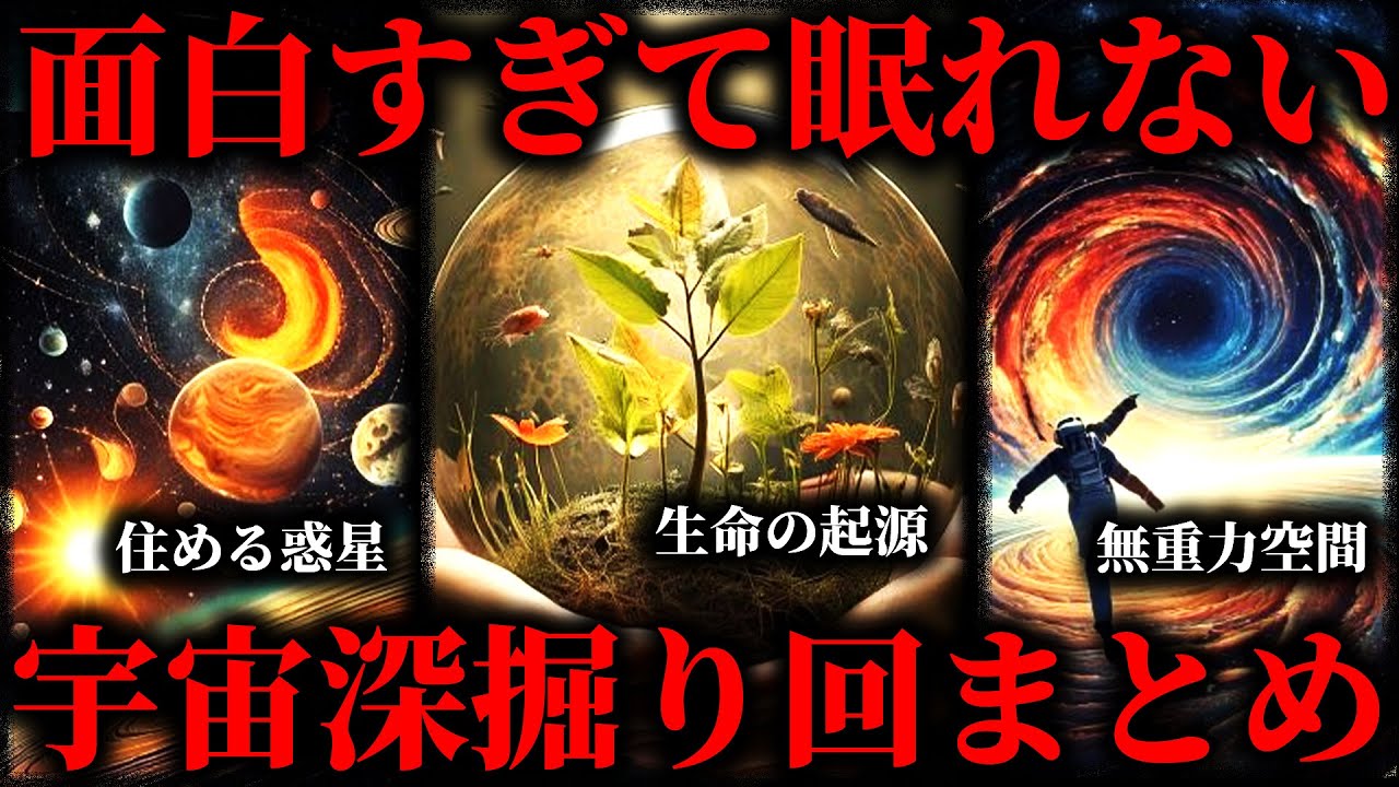 【作業用】面白すぎて眠れなくなる宇宙深掘り回まとめ【たっくー切り抜き】