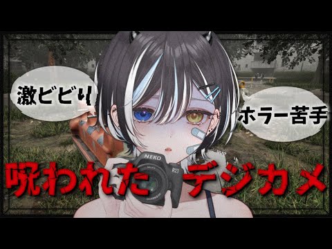 【 #呪われたデジカメ 】 ⚠️爆音悲鳴注意⚠️おひさしホラゲいやすぎる 【 #VTuber / #黒江萬白】