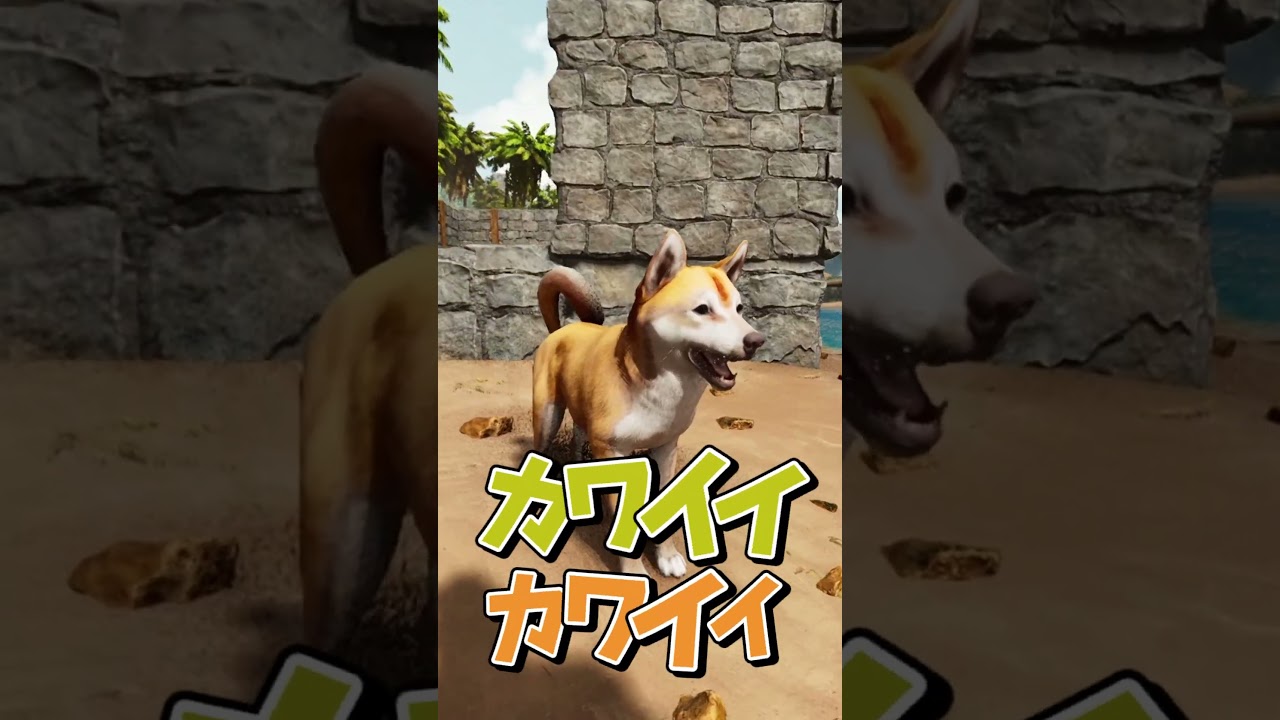 【ASA/MOD紹介】激きゃわ柴犬を仲間に出来るMODを紹介【ゆっくり実況/アークサバイバルアセンデッド】#shorts #arksurvivalevolved  #ゲーム実況 #ゆっくり実況