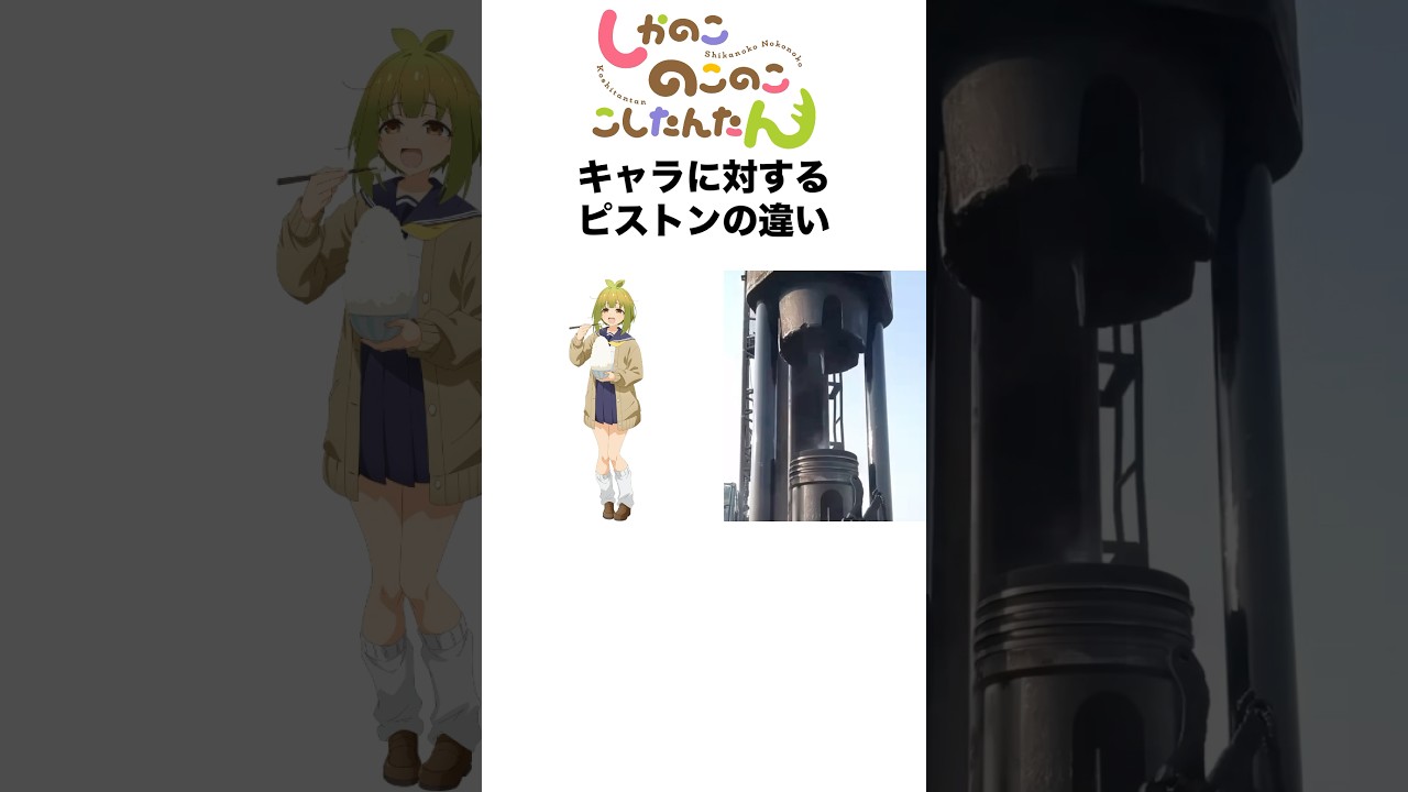 しかのこのこのここしたんたんキャラに対するピストンの違い #しかのこのこのここしたんたん #しかのこ ##アニメ #shorts