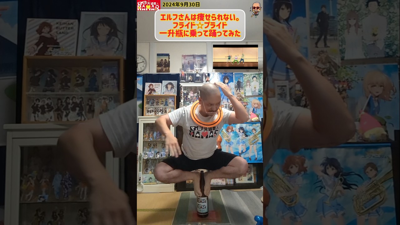 【#ポテトダンス】 フライド☆プライド 一升瓶に乗って踊ってみた グラサンずれたver【エルフさんは痩せられない。】