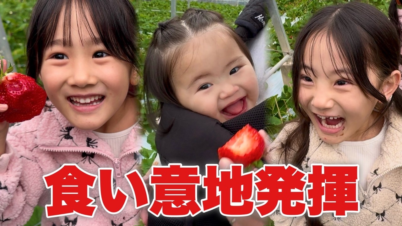 【爆食】2年ぶりのイチゴ狩りで大喜びの三姉妹が尊すぎました😮‍💨