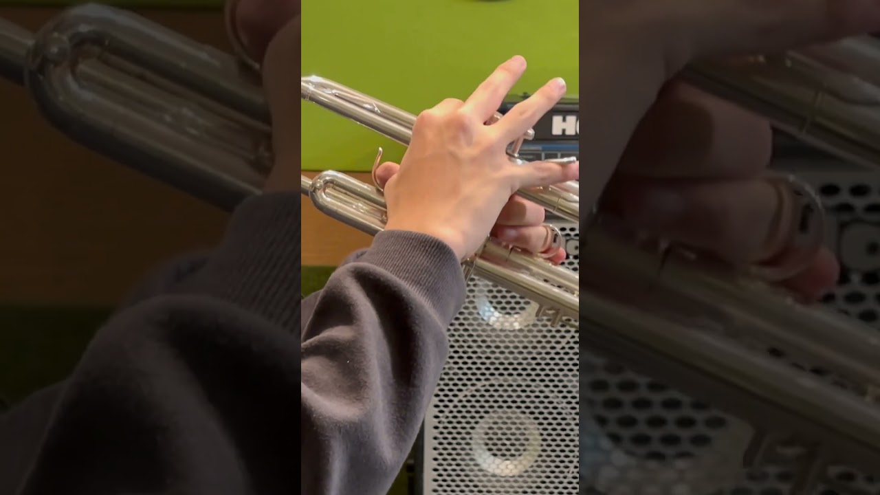ただいま、おかえり/田尻大喜　Trumpet cover #trumpet