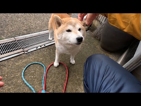 ただいまとおかえりの間の至福な時間