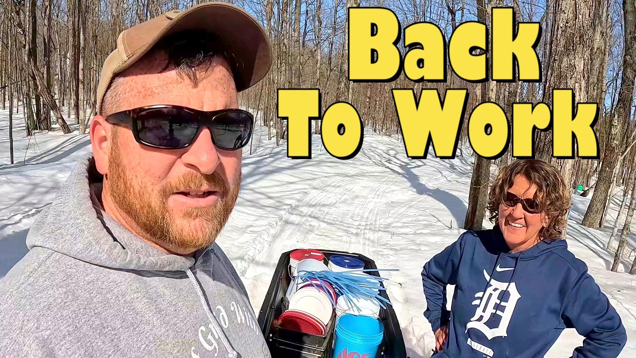 The First Big Project of the Season! - Finally Back Outside !