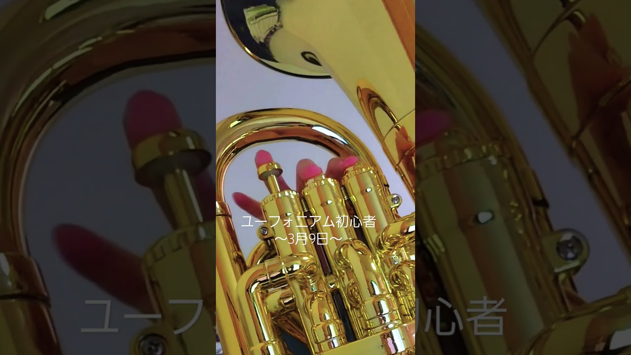 #ユーフォニアム #初心者 #演奏 #演奏してみた #演奏動画 #euph #レミオロメン #3月9日 #卒業 #ユーフォ二アム初心者