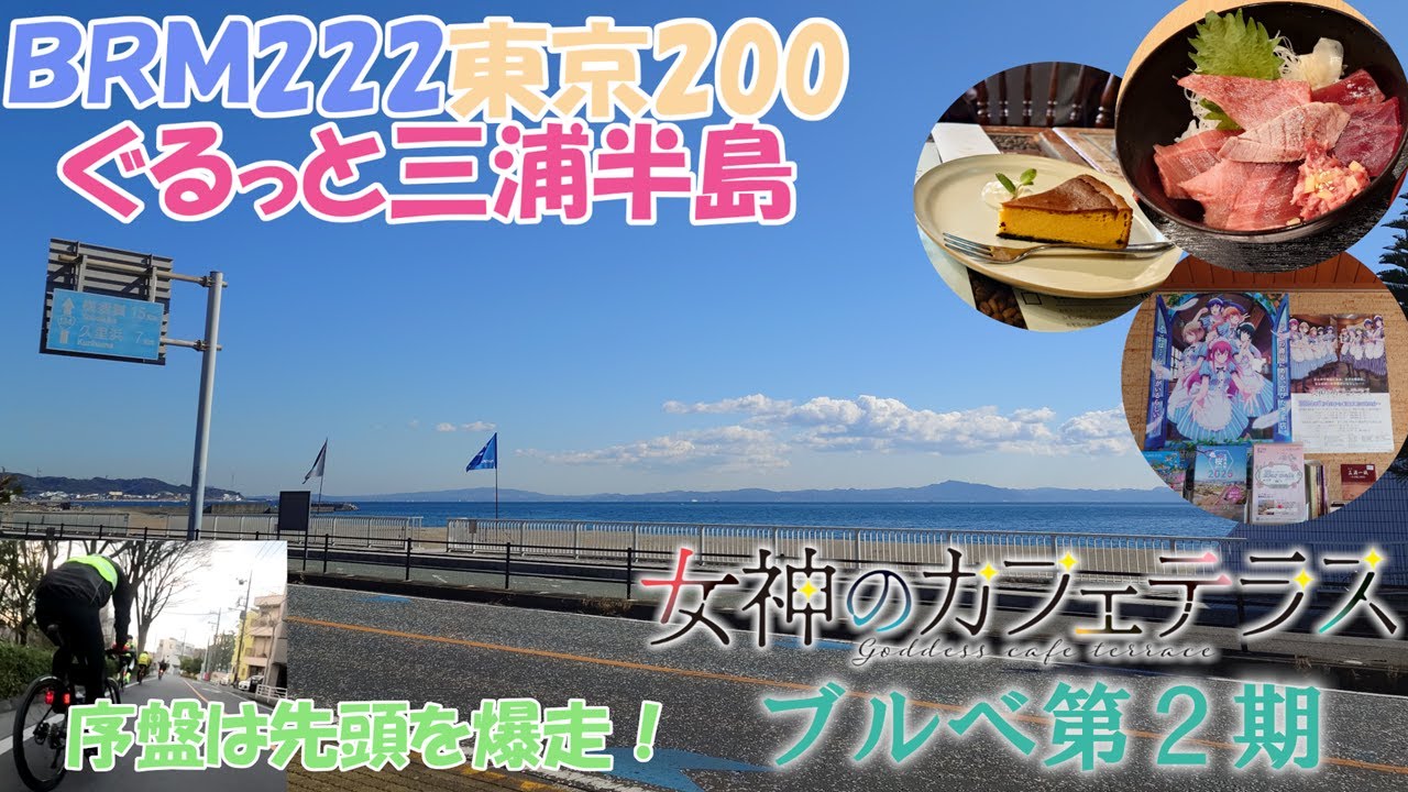 【BRM222東京200】女神のカフェテラス ブルベ 第2期 ロードバイクで200km走破！【ぐるっと三浦半島】