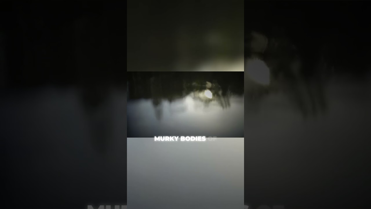 Mysterious Disappearance