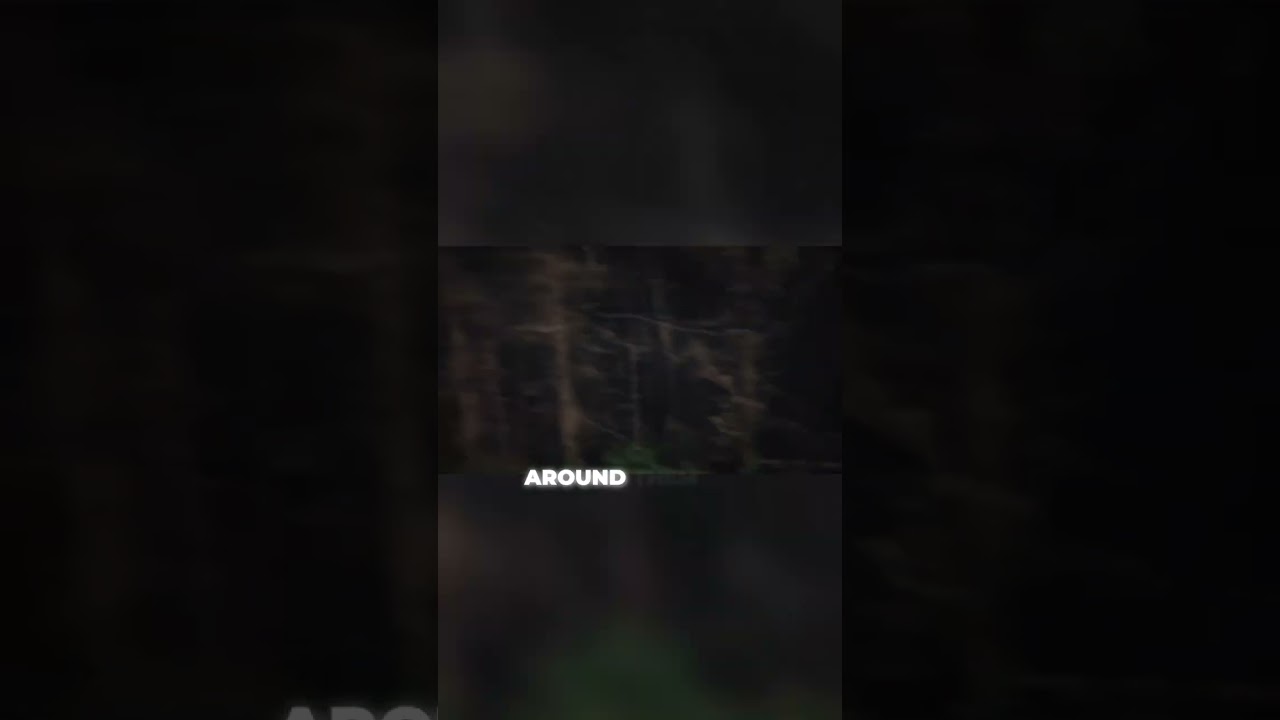 Mysterious Disappearance