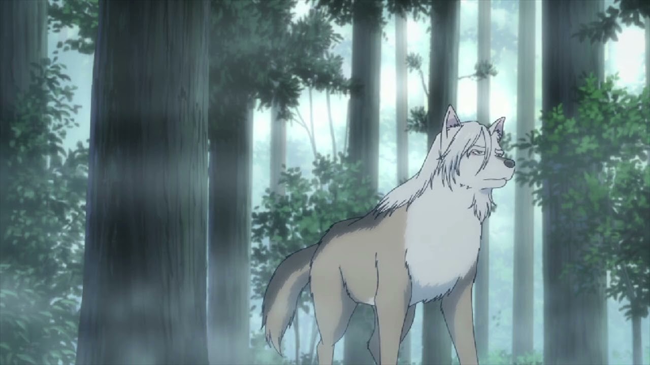Tonari No Youkai-San 2024 Lost In The Woods At Night
