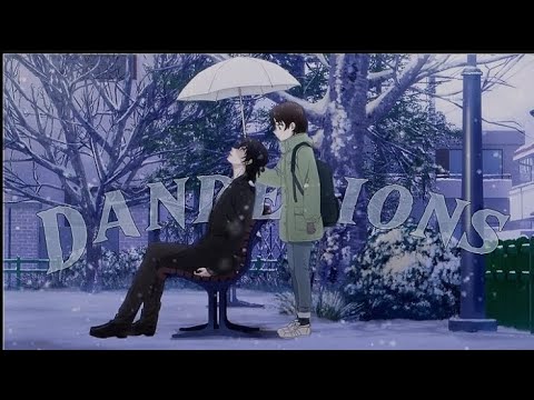 Hotaru X Hananoi [Dandelions]🌺 Amv🌹|| A Condition Called Love ❤||