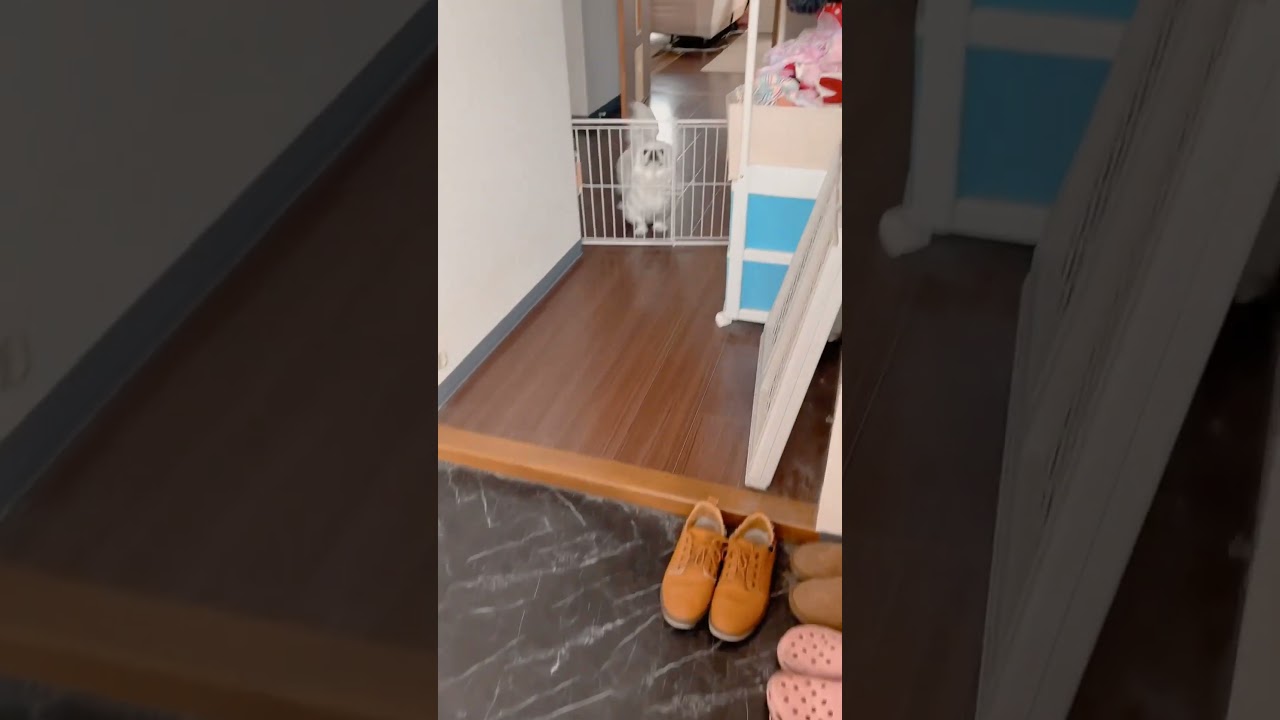 癒やしの瞬間☺️