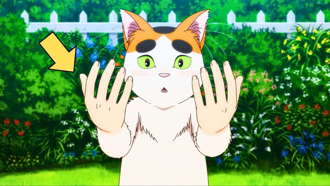 🔰 UN GATO RENACE COMO UN YOKAI CAPAZ DE TRANSFORMARSE EN HUMANO!!