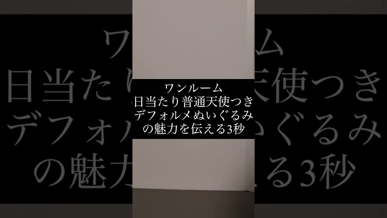 ３秒で十分だ  ワンルーム、日当たり普通、天使付き。和泉のえるデフォルメぬいぐるみ オンクレ